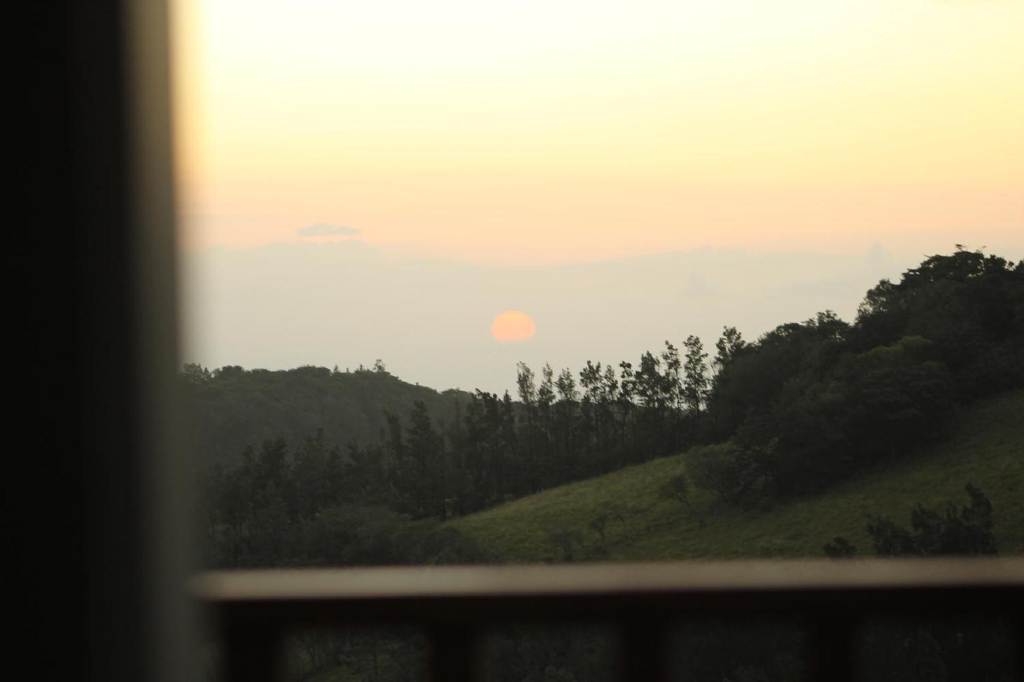 Hotel Bosque Verde Lodge Monteverde Quarto foto