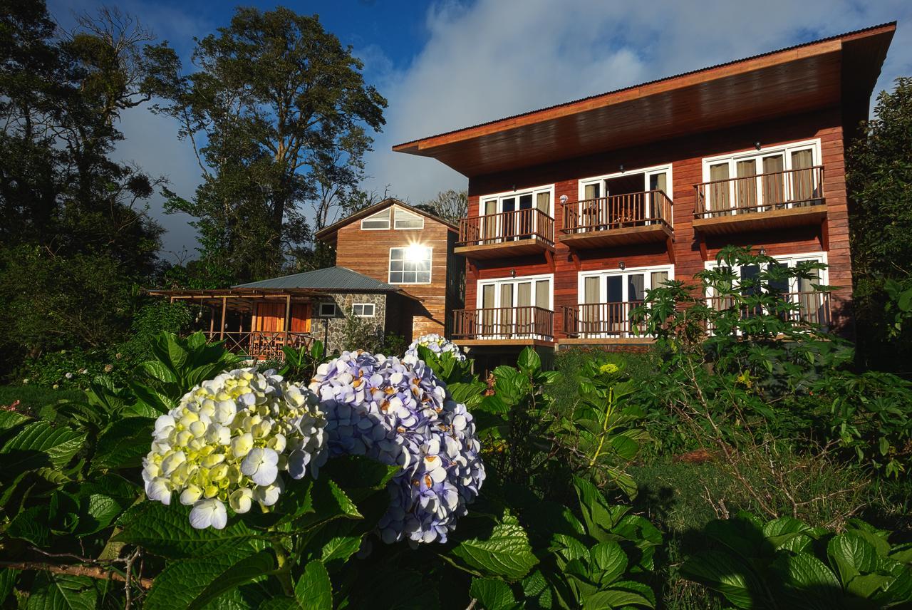 Hotel Bosque Verde Lodge Monteverde Quarto foto