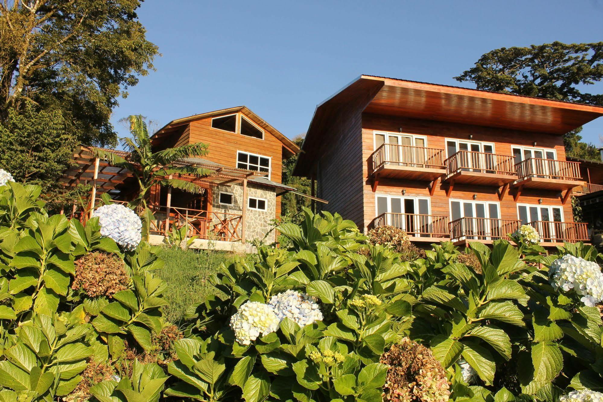 Hotel Bosque Verde Lodge Monteverde Exterior foto