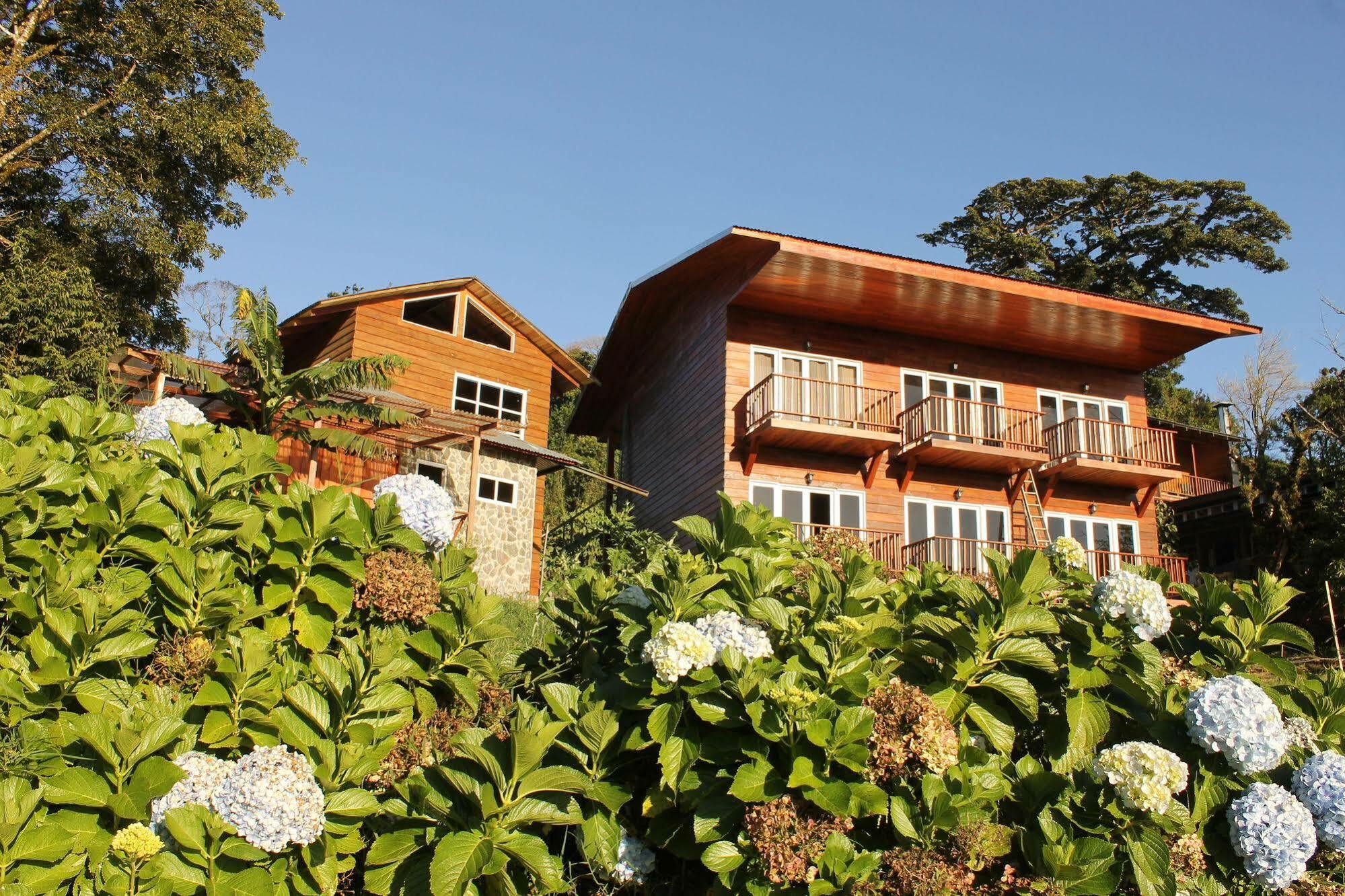 Hotel Bosque Verde Lodge Monteverde Exterior foto