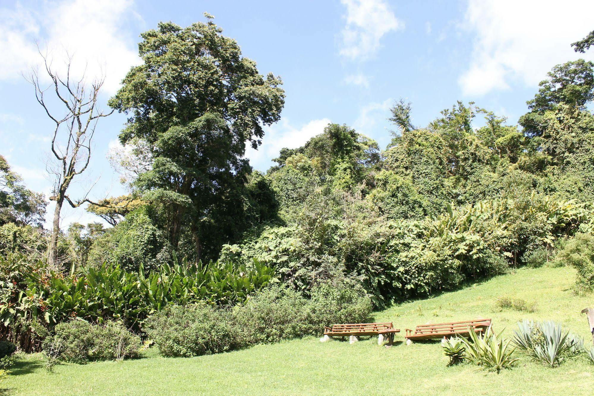 Hotel Bosque Verde Lodge Monteverde Exterior foto